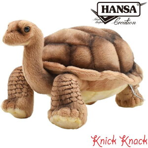 yzHANSA ]EK BH6461@nT A  ʂ ObY G u IuWF CeA ۋT J