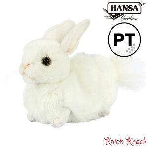 HANSA VETM St wbhJo[ p^[ PT BH8324@nT A  ʂ ObY G \