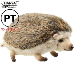 HANSA nlY~ St wbhJo[ p^[ PT BH8355@nT A  ʂ ObY G