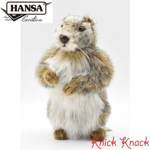 HANSA }[bg BH3830@nT A  ʂ ObY G u IuWF CeA