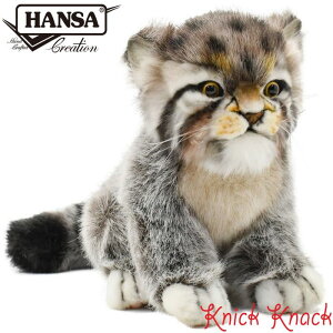 HANSA }klR e BH7299@nT A  ʂ ObY G u IuWF CeA