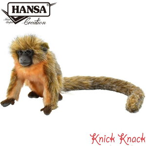 HANSA eBeBL[ BH6230@nT A  ʂ T 