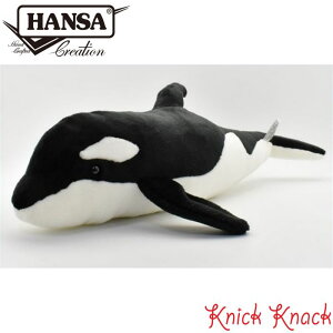 yzHANSA V` BH5024@nT A  ʂ ObY G u IuWF CeA 