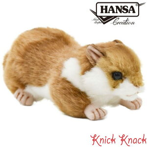 HANSA nX^[ BH3738@nT A  ʂ ObY G u IuWF CeA ql
