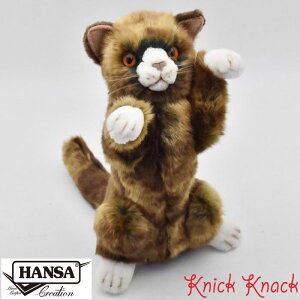 HANSA lR e BH5041@nT A  ʂ ObY G u IuWF CeA L