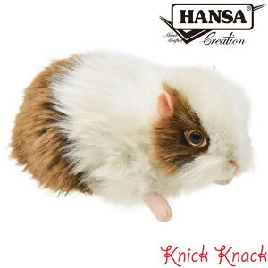 HANSA eWNlY~ BH5300@nT A  ʂ ObY G u IuWF CeA Vl bg