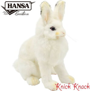 HANSA VETM BH5842@nT A  ʂ ObY G u IuWF CeA 낤 e
