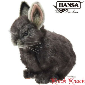 HANSA sO~[rbg BH8129@nT A  ʂ ObY G u IuWF CeA \ 