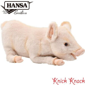 HANSA u^ BH4944@nT A  ʂ ObY G u IuWF CeA 