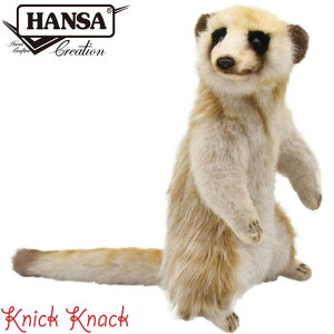 HANSA ~[ALbg BH3703@nT A  ʂ ObY G u IuWF CeA