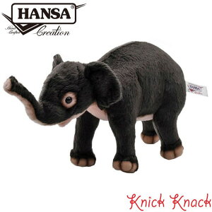 HANSA ]E e BH5698@nT A  ʂ ObY G u IuWF CeA 