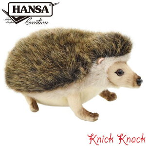 HANSA sO~[wbWzbO BH6807@nT A  ʂ ObY G u IuWF CeA jl nlY~