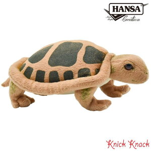 HANSA J BH3816@nT A  ʂ ObY G u IuWF CeA T