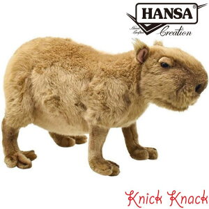 yzHANSA Jso BH5125@nT A  ʂ ObY G u IuWF CeA 