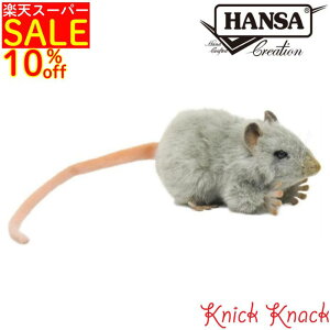 HANSA nCClY~ BH5579@nT A  ʂ ObY G u IuWF CeA l