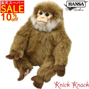 HANSA T BH6319@nT A  ʂ ObY G u IuWF CeA 