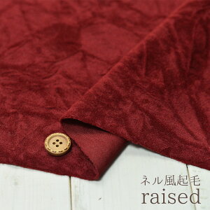 yznn CbhzBe[WVH̃lNѐny50cmPʁz(6-298)