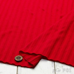 yjbgn p^[bV XgCv/S2Fz100 p^[bV tCXjbg ɐLтeVx̃jbgy50cmP [1܂Łz(a-5944)