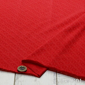 yjbgn ԕ/S3FzVWK[hjbg 悭ƂԂ̓͗l L \tgȎG  ɐLтeV`⍂̃jbg ۂ܂₷y5