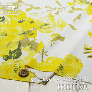 yjbgn ԕ/zCg×CG[t[zTV |GXeVjbg ኱ ɐLтeṼjbgy50cmP [2܂Łz(a-5979)