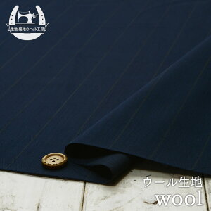 yAEgbgi XgCv/lCr[ 35cmJbgρzƂE[100n ⓧ̂D̔萶n L^Cv z(cbb-322)