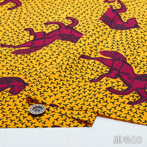 yAtJz nn VFǉ/S3FzIсorrrbgor `nDnD̕ց` 110cm F܂ 100 Rbg y50cmP [3܂Łz(e-1919)