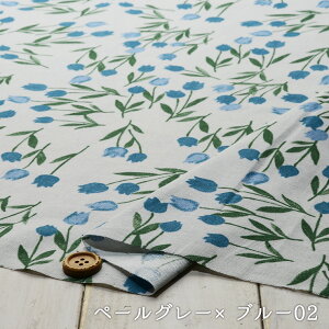 yԕ `[bv/S2FzLanguage of flowers ȖLoXn zy50cmP [3܂Łz(e-2050)