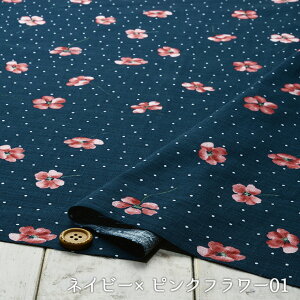 y@/S2Fzricorno(Rm) 100hr[DTUNXn ߂âɍœK zy50cmP [3܂Łz(e-2060)