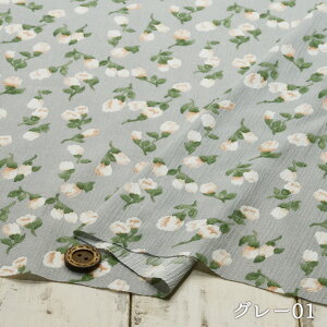 yԕ ~jo/S4Fz100N[vn QŃV{V̂n VA[N[v L k zy50cmP [2܂Łz(e-2095)