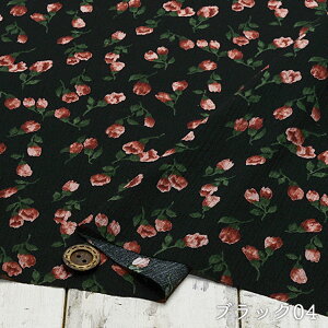 yԕ ~jo/S4Fz100N[vn QŃV{V̂n VA[N[v L k zy50cmP [2܂Łz(e-2095)