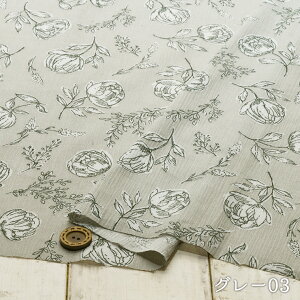 yԕ 菑/S3Fz100N[vn QŃV{V̂n VA[N[v L k zy50cmP [2܂Łz(e-2100)