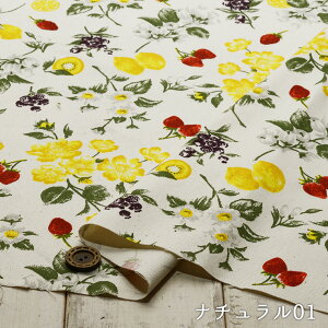 yt[c×t[/S2FzEfp[ 100IbNXtH[hn i`ȃJXcdグ k graph LE DEPART zy50cmP [2܂Łz(e-2109)