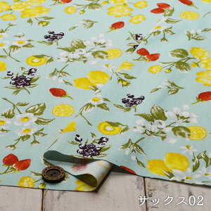 yt[c×t[/S2FzEfp[ 100IbNXtH[hn i`ȃJXcdグ k graph LE DEPART zy50cmP [2܂Łz(e-2109)