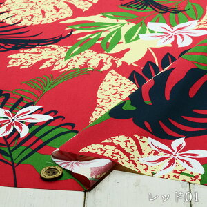 ynCA Xe/S4FzT/Cu[hn KxɃn VcJo[O zy50cmP [4܂Łz(e-2117)