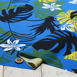 ynCA Xe/S4FzT/Cu[hn KxɃn VcJo[O zy50cmP [4܂Łz(e-2117)