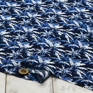 y{^jJ/S2Fz100bvn ʋCǂɂ܂ƂȂĂɂ߂̐n zy50cmP [2܂Łz(e-2135)