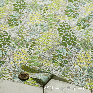 yAEgbgi oeB ԕ/O[eB[01-40cmJbgρz100 60[n \tgȎG ኱ z(ce-2164-1)