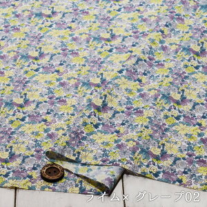 yoeB ԕ/S2Fz100 60[n \tgȎG ኱ zy50cmP [5܂Łz(e-2169)