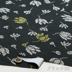 y[t/S2Fz100V[`On n኱ L^Cv VcuEX Jo[Oɂ zy50cmP [3܂Łz(e-2177)