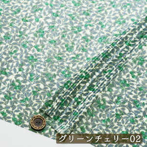 yAEgbgi `F[/O[`F[02-40cmJbgρztX hr[D V[X[ VA[f L142cm VL L vg z(ce-2285-2)