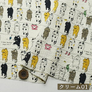 y˂/S2FzRbg΂₵ |vbvn 100 108cm ʋCǂɂ܂ƂȂĂɂ߂̐n  킢 r  bv Rbg  zy50c