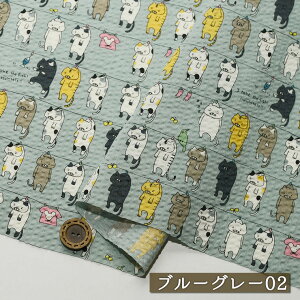 y˂/S2FzRbg΂₵ |vbvn 100 108cm ʋCǂɂ܂ƂȂĂɂ߂̐n  킢 r  bv Rbg  zy50c