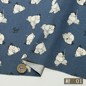 yނ炢/VFǉ S3Fza V[`On 100 106cm Rbg vg a TC zy50cmP [3܂Łz(e-2330)