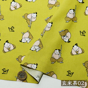 yނ炢/VFǉ S3Fza V[`On 100 106cm Rbg vg a TC zy50cmP [3܂Łz(e-2330)