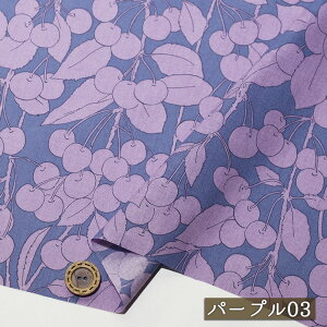 yڕ/S4FzHOKKOH 60[n 100 炩 Ȃ߂炩 104cm L k vg `F[ Rbg uEX zy50cmP [5܂Łz(e-2393)