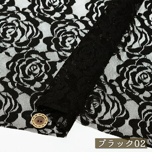 yo/S2FzbZ[Xn |GXe 105cm [Xn zy50cmP [2܂Łz(ee-178)