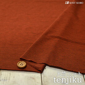 【ニット生地 ミジンボーダー/テラコッタ×ブラック】のびのびベア天竺 約1ミリピッチのボーダー 両方向に伸びるテンション高のニット【50cm単位 メール便1ヶまで】(j-2303)