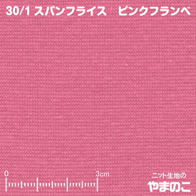 楽天市場 フライス 生地の通販