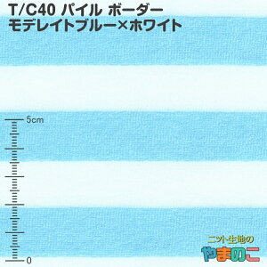 yGg[3ȏP10{IzT/C40 pC {[_[ fCgu[×zCg jbgn {[_[jbg {[_[ nu[֑Ήv