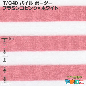 T/C40 pC {[_[ t~SsN×zCg jbgn {[_[jbg p n